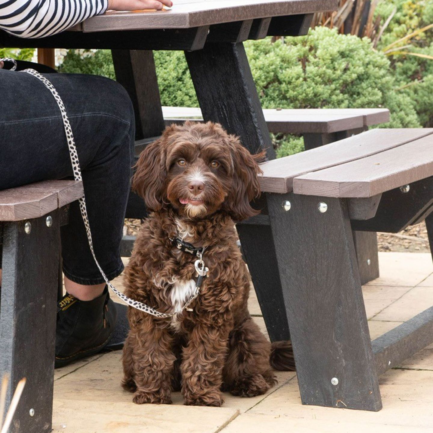 Your local dog friendly pub in Brownhills